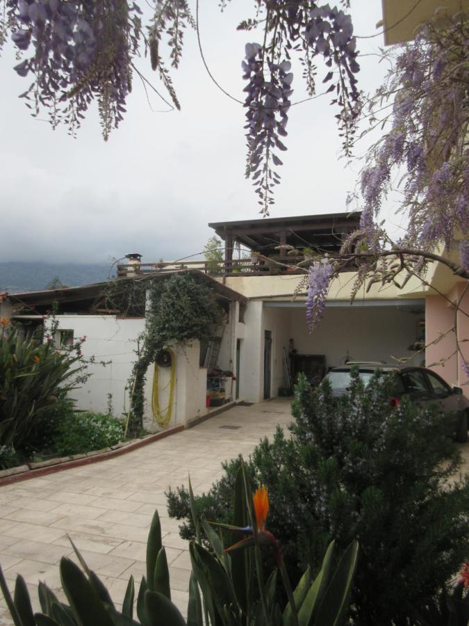 Su Pasu B&B Orosei Ngoại thất bức ảnh